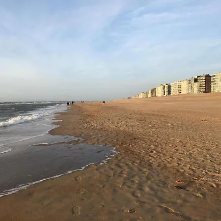 Apartment Duplex Near Zeedijk & Center With Sunny Balcony, Cleaning Included Koksijde